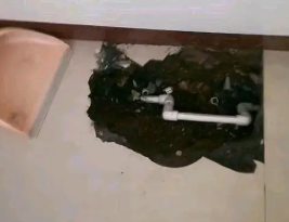 聊城市卫生间测漏水多少钱