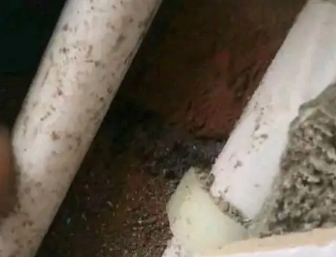 聊城市卫生间测漏水哪家好